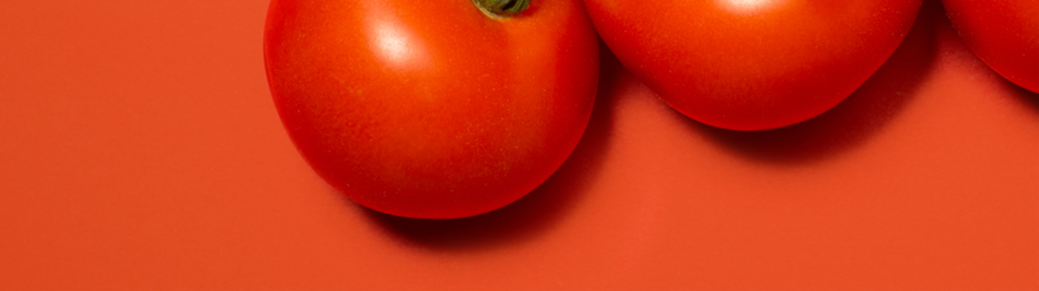 banner image1