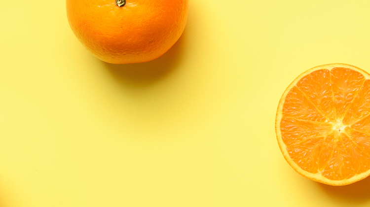 banner image3